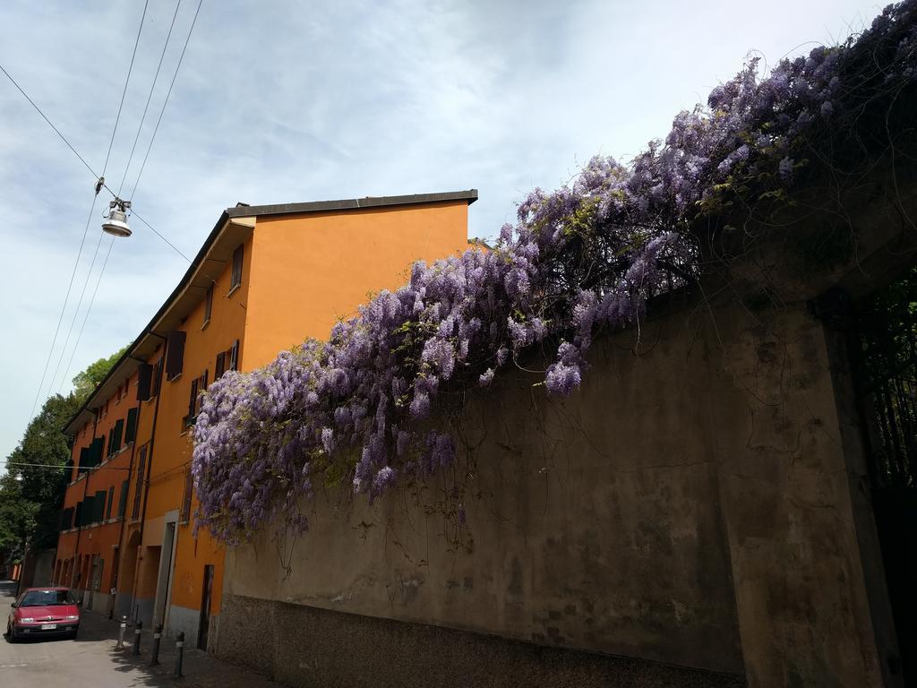 Malgrado House Bologna - Villa Nigrisoli - Sant'Orsola Exterior foto